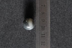 GAIA Pure 15.8 · Ink Wash — nephrite jade bead necklace, size reference