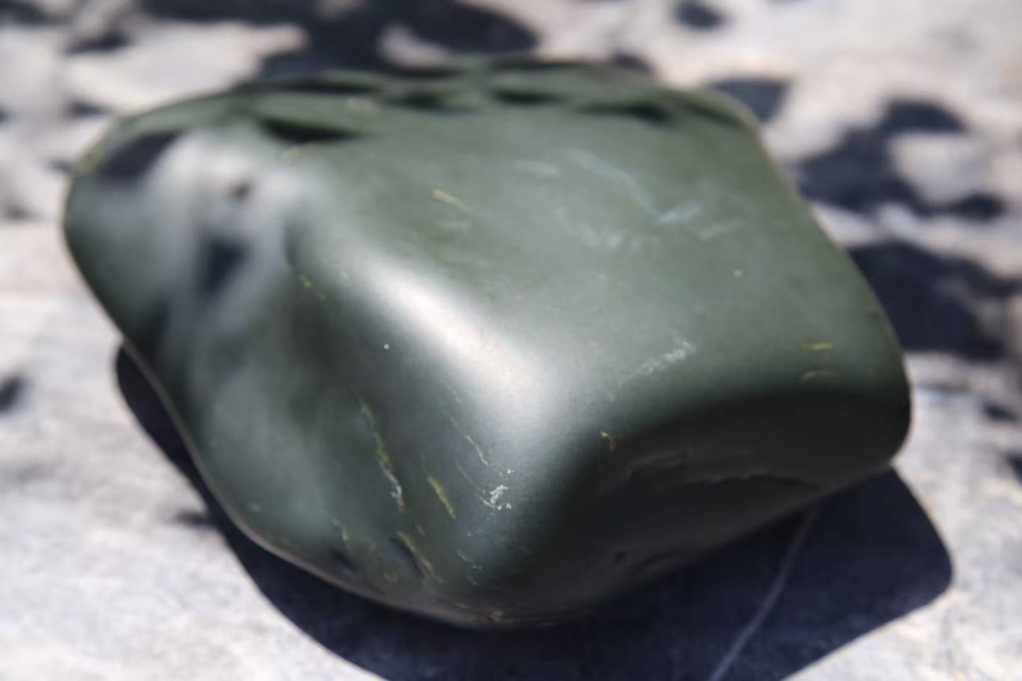 A rounded dark green stone with a smooth surface and a few pale flecks, in dappled sunlight